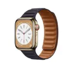 apple-watch-gold-stainless-steel-case-with-leather-link-ink-webp