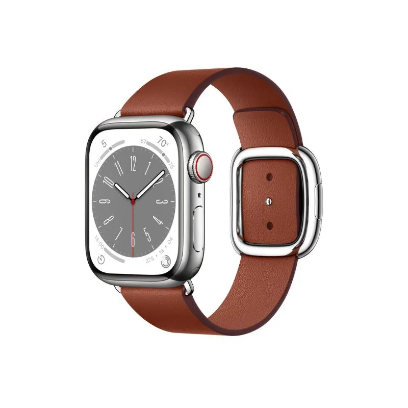 Apple Watch Series 8-Apple Watch Silver Stainless Steel