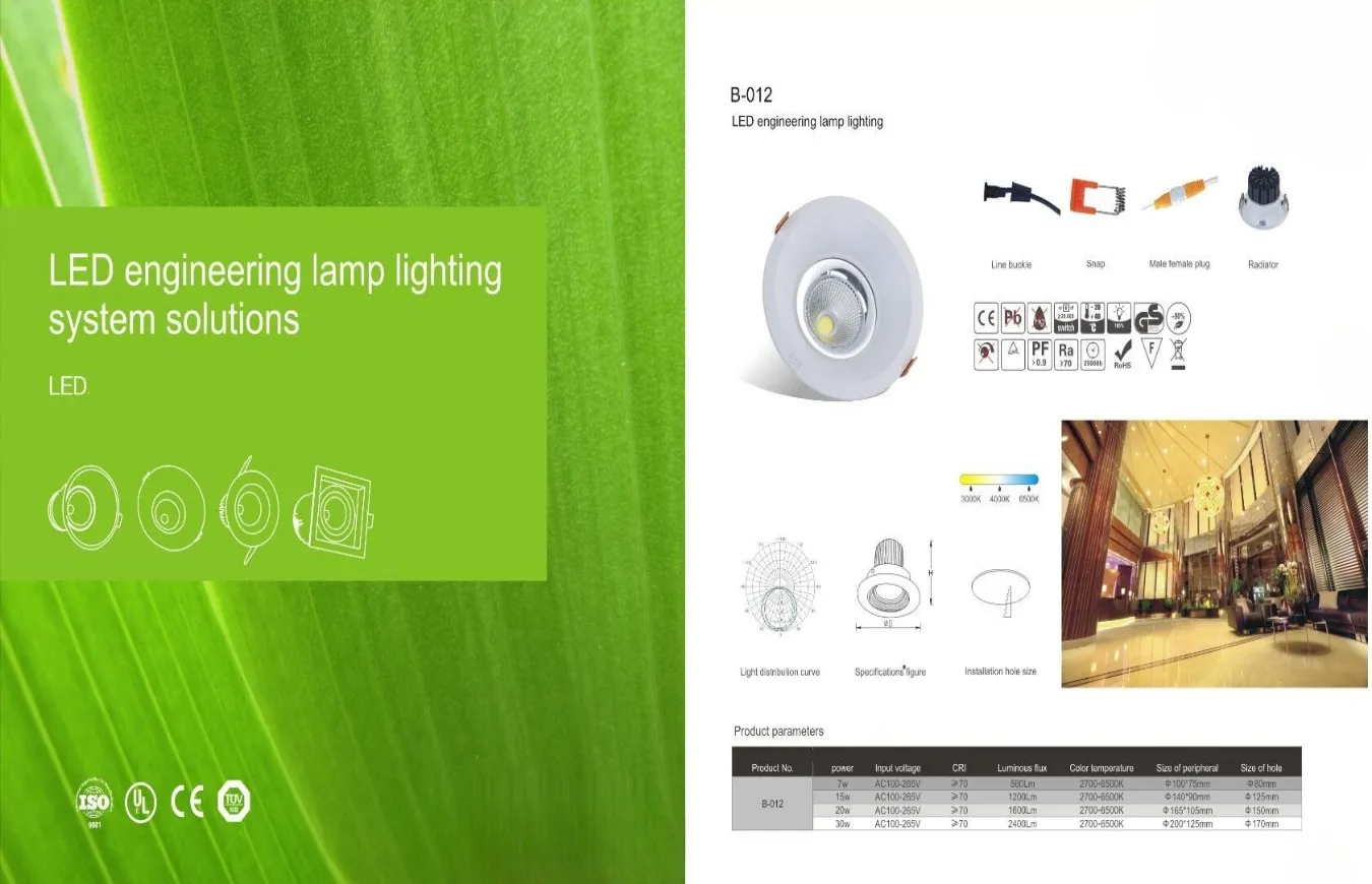 LED Engineering Lamp Lighting System Solutions (1)