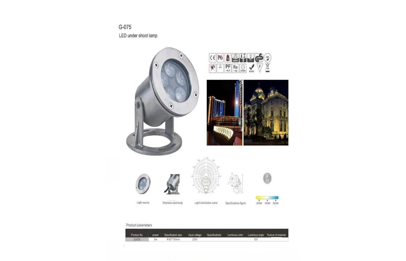 LED Outdoor Lamp Lighting System Solutions (6)